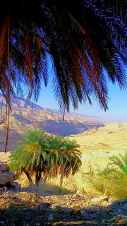 Mujib Castle Gate Camp - 6