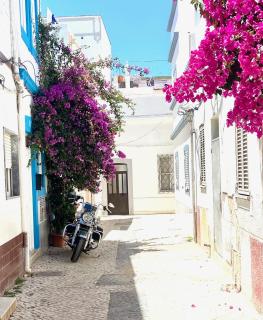 Zenit Budget Basicinn B&B Olhao ext prive bathroom - Olhão - 9