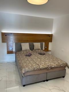 Apartma Rozi Deluxe - Koper - 1