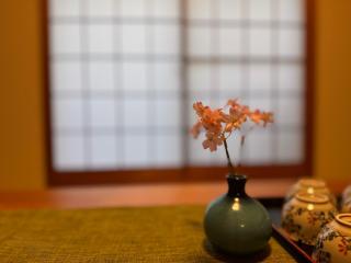 Sakura Stay Namba A - Direct to Airport - Sleeps 13 - 7