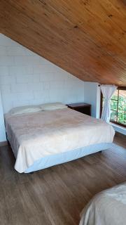 Mindo Suites - Rufous - 1