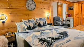 Bel appartement alpin avec vue imprenable - 1