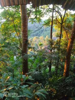 Himansa Homestay - 7