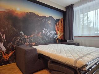 Apartment TATRYline-Center Tatranská Lomnica - 1