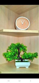 Філатова - 9