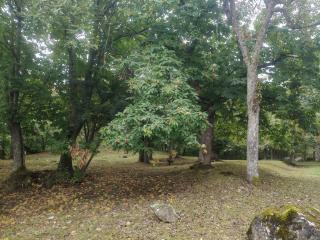 Angolo di Paradiso B&B - 6