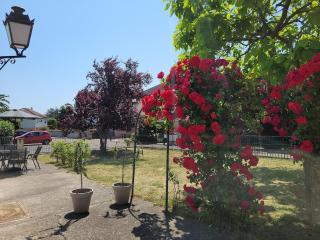 Au petit bonheur - Horbourg - 4