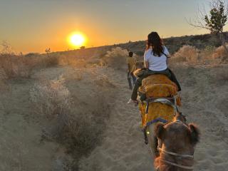 Desert Vista Camp Jaisalmer - 4