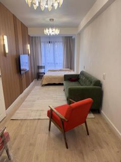 Cozy apartment in Bishkek - 0