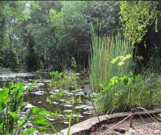 Estudio con Alberca Privada en Zona Norte - 6