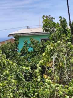 Cabaña en el centro de un huerto - 6