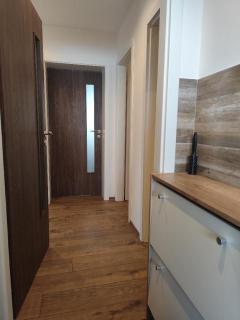 Apartmán u Trojáků - 9