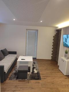 Apartmán u Trojáků - 1