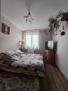 Mieszkanie Rumiankowa - 6