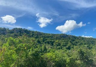 Hotel Café Punta Cana - 7