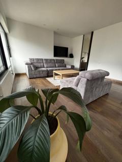 NOK Perfect Duplex in El Poblado - 7