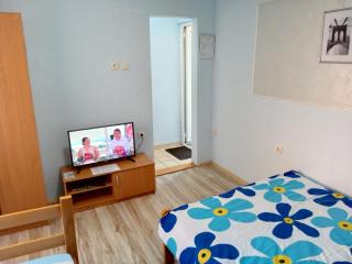 Banja Gornja Trepca-smestaj Grof - Gornja Trepča - 9