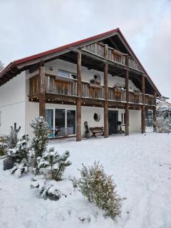 Dwór pod Sosnami Kaszuby, sauna - 0