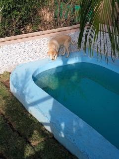 Mewar Exotic Fruit Farm & Farm Stay - 1