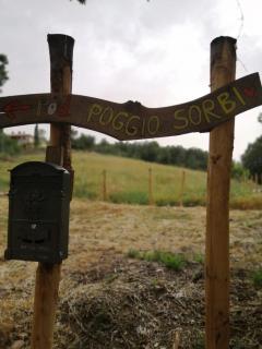 Podere Poggio Sorbi - 6