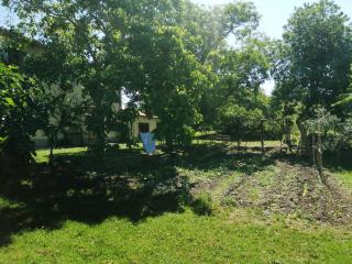 Podere Poggio Sorbi - 4