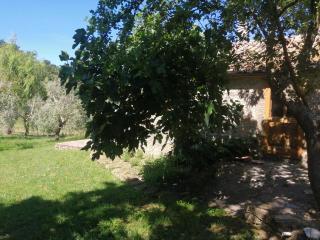 Podere Poggio Sorbi - 3