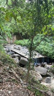 House Party of Lee - 3