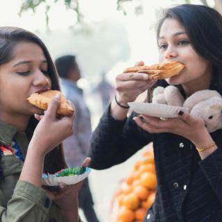 Pachetia Hill Haveli - 4