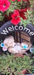 Appartement Ons Plekje - 0