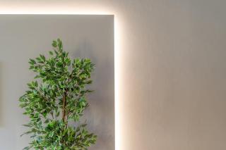 Bright apartment with private garage - 6