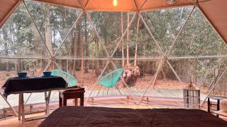 Magic dome in the woods in San Sebastián de La Pedrera - 2