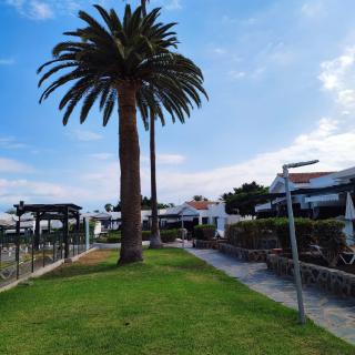 Maspalomas Lago Canary Sunset - Maspalomas - 4
