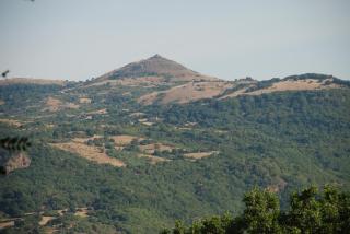 Podere Poggio Sorbi - 7