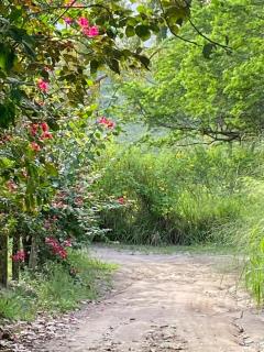 Sitio Cacimba Nova - Espaço Ecokosmos - 7