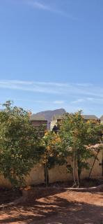 RUM FIRAS lUXURY CAMP - 7