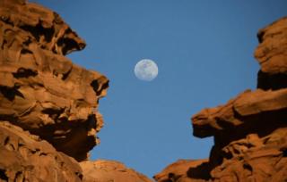 Bedouin Whispers Camp - 0