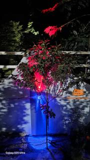 Royal Retreat The Shekhawats Farmhouse - 1