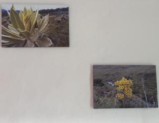 Casa turística la Nativa - 1