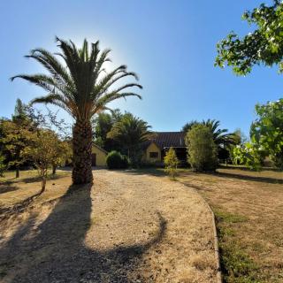 Hermosa Casa de campo con vista a la montaña - 2