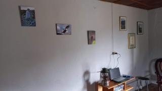 Casa turística la Nativa - 9