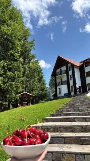 Pensiunea Casa Vanatorului - 5