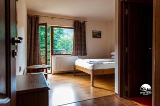 Pensiunea Casa Vanatorului - 2