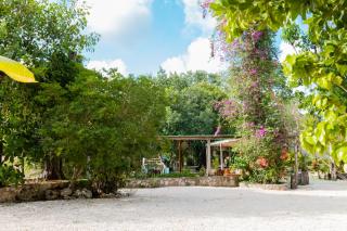 ecochic casas el jabali - 4