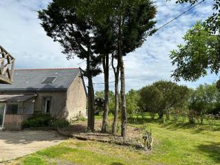 Charmante maison en pleine nature à Saint Georges sur Loire - 1