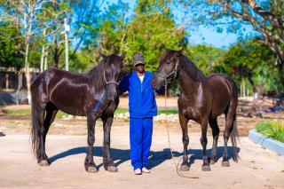 Quinta Katembo Mamunambodzi - 6