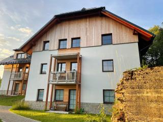 Apartmán Nový Mlýn, Borová Lada - 0