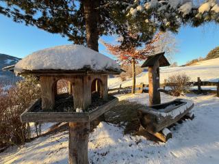 Die Petzl Hütte - Kreischbergblick - 3