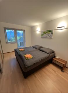 Panorama Appartement am Mühlbachberg - 3