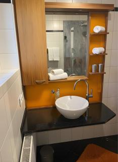 Panorama Appartement am Mühlbachberg - 6