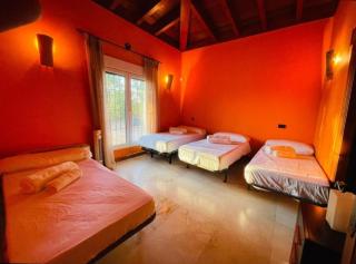 Finca el descanso manchego - 8